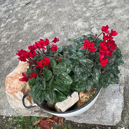 Il trullo di nonno Licchio Villa Alberobello Eksteriør billede