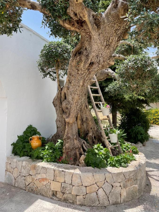 Il trullo di nonno Licchio Villa Alberobello Eksteriør billede