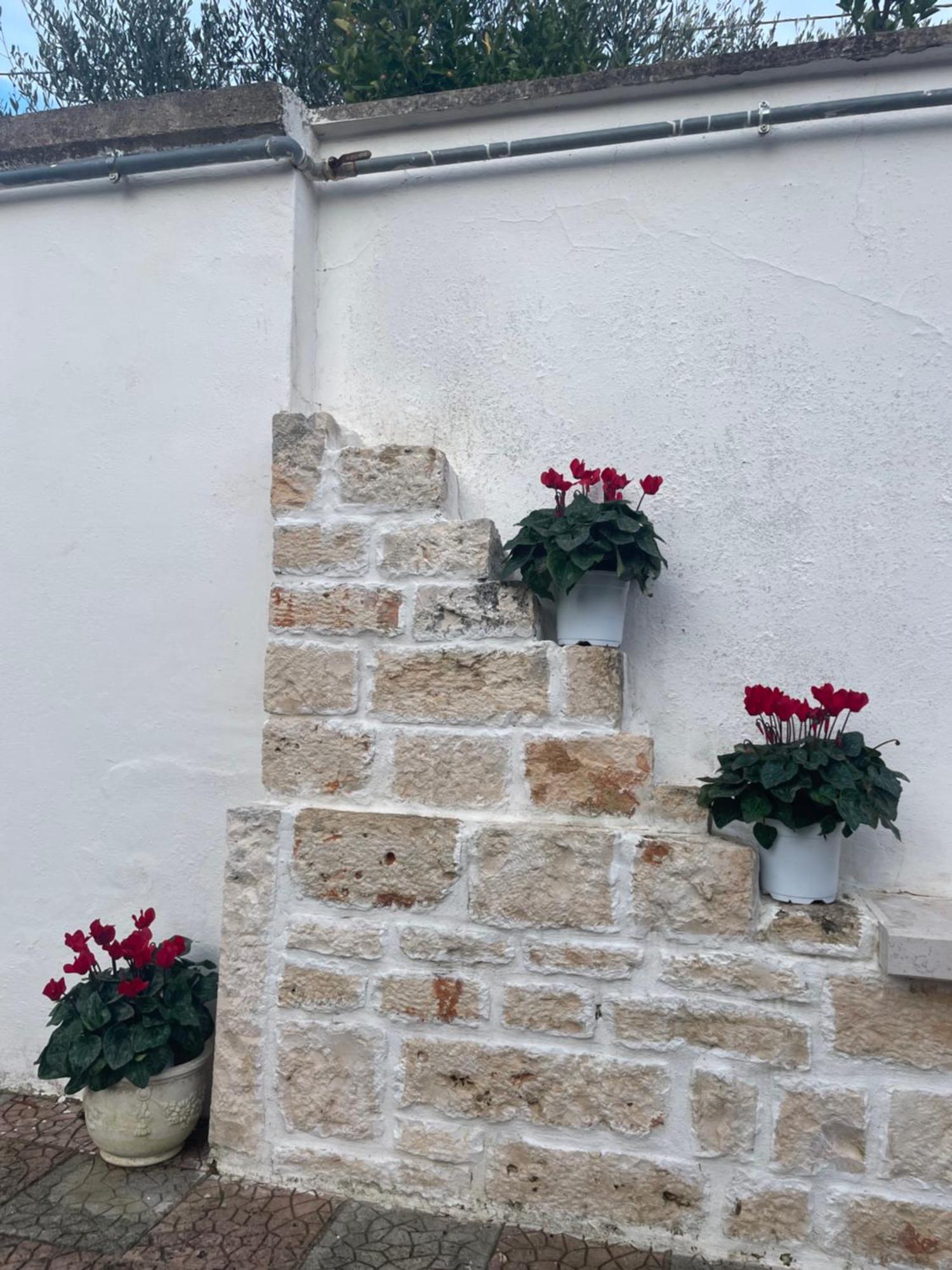 Il trullo di nonno Licchio Villa Alberobello Eksteriør billede